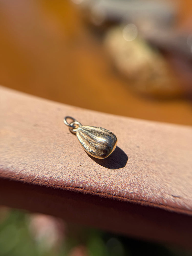 Sunflower Seed ~ Gold