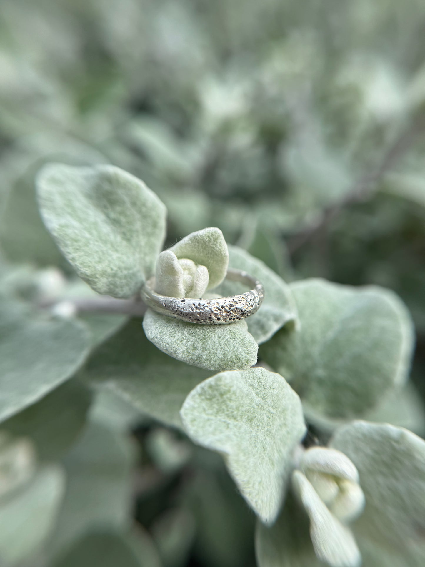Beach Sand Ring