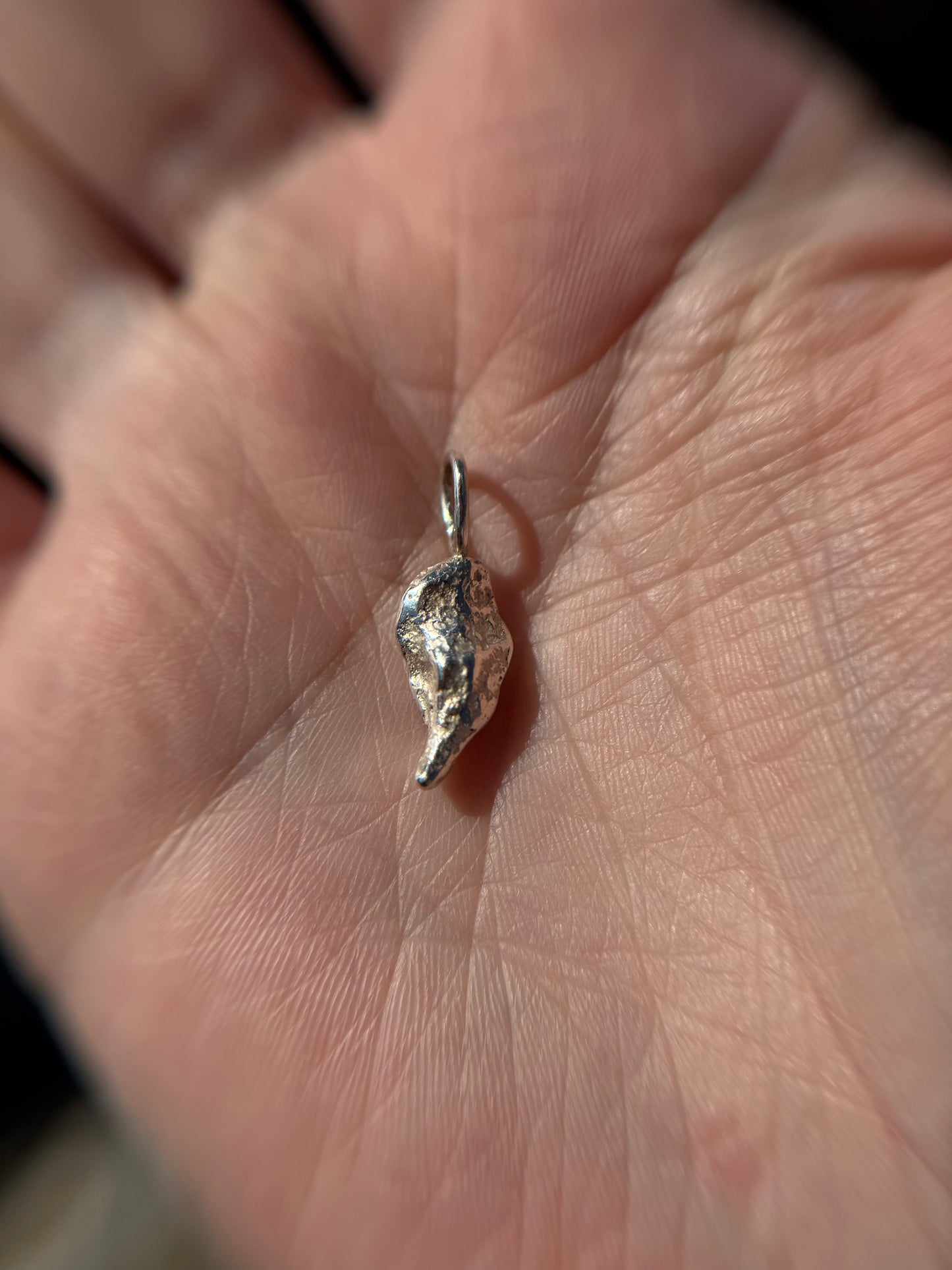 Meteorite Pendant