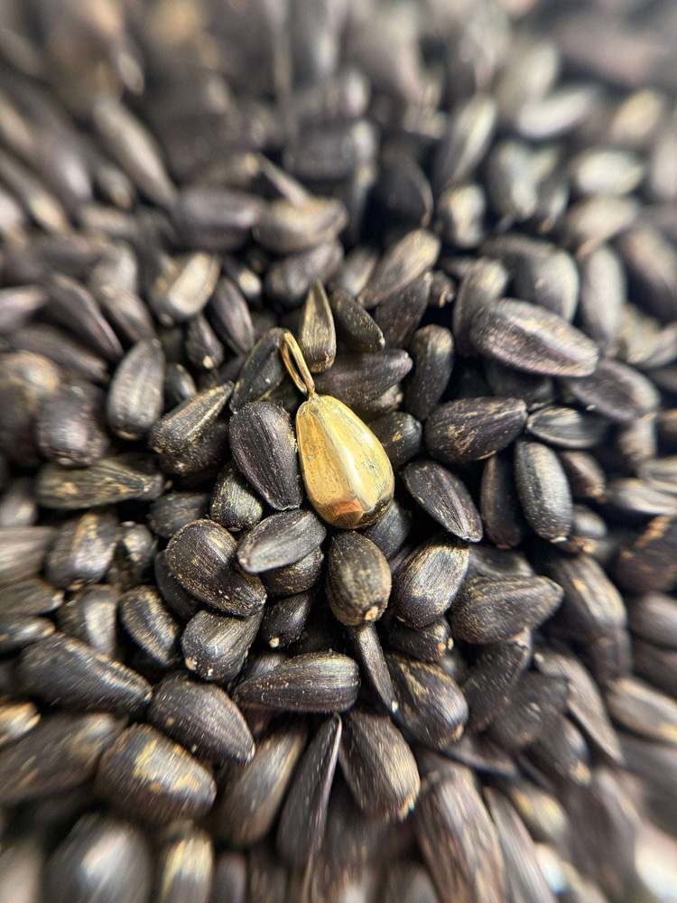 Sunflower Seed ~ Bronze
