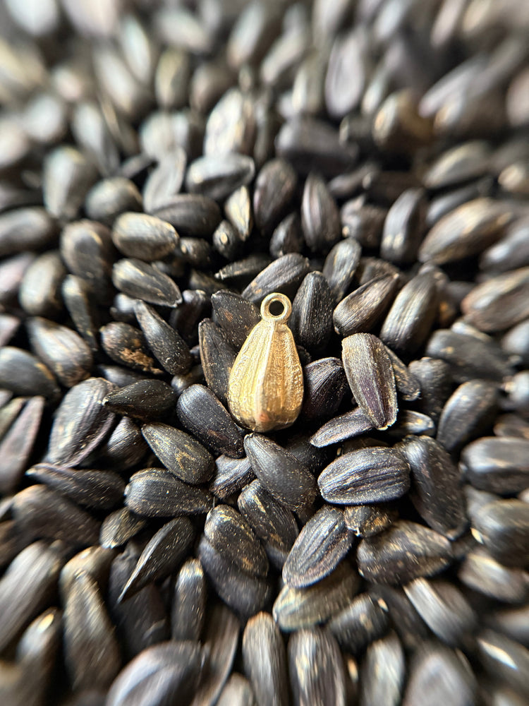 Sunflower Seed ~ Gold