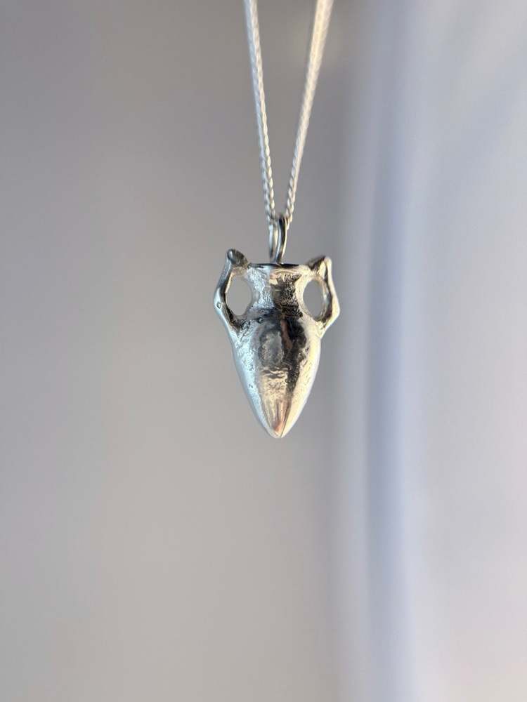 Amphora Petite