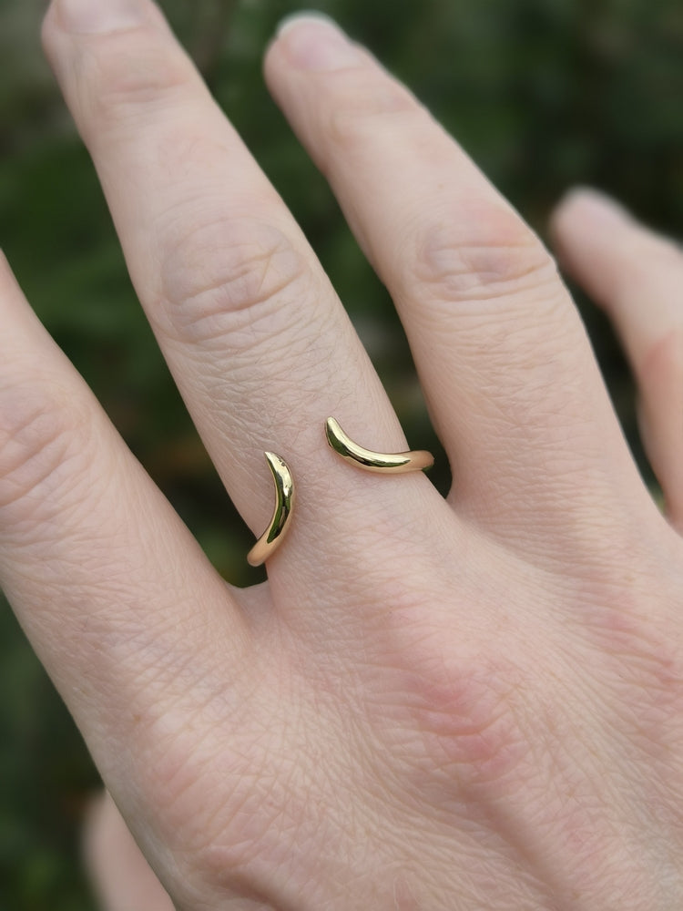 The Thorns Ring