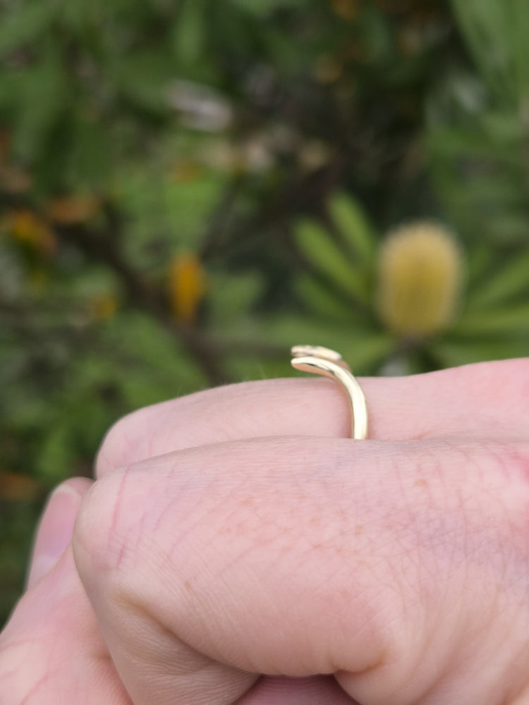 The Thorns Ring