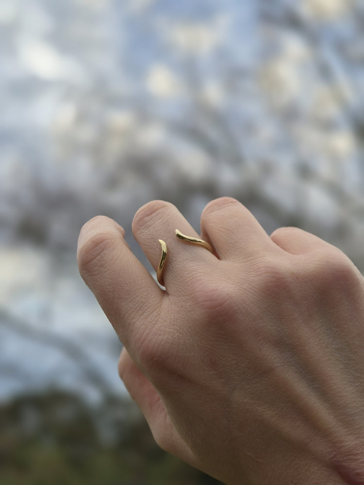 The Thorns Ring