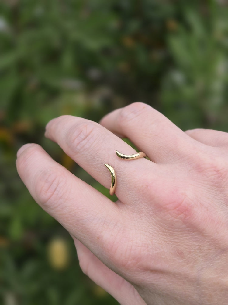 The Thorns Ring
